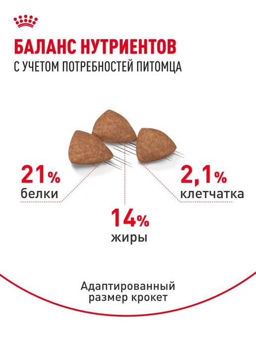 Сухой корм Royal canin Indoor для собак, взрослые, мелкие, 0,5 кг, фото 5