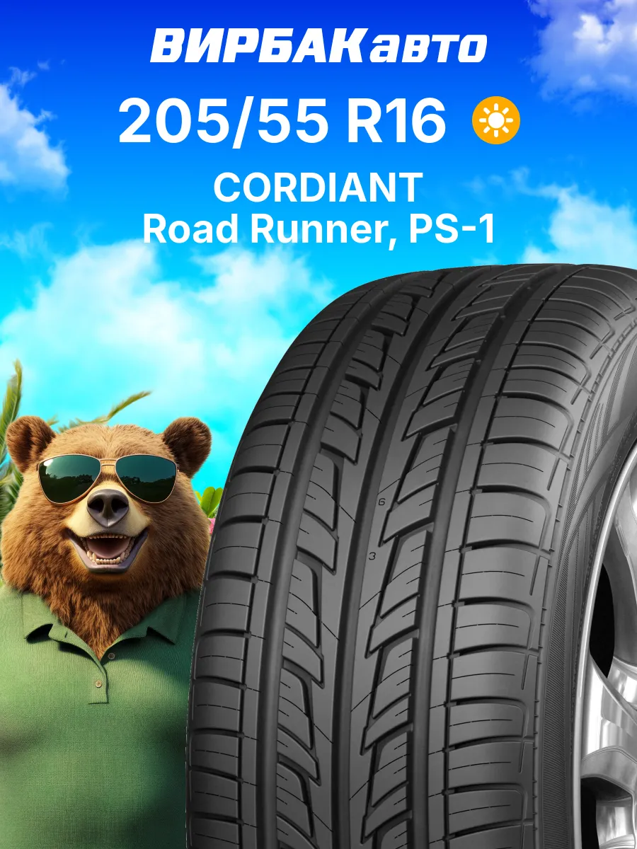 Шины летние 205/55R16 Road Runner, PS-1 94H