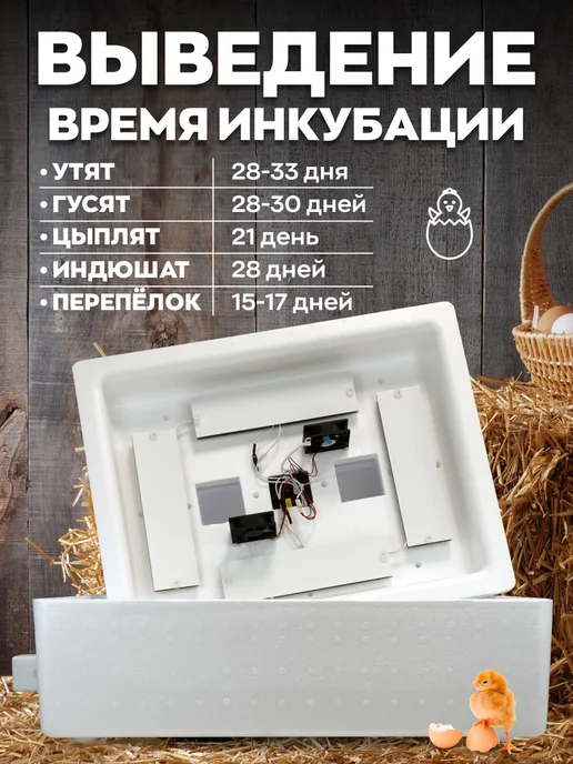 Несушка Инкубатор автоматический на 104 яйца, белый, фото 2