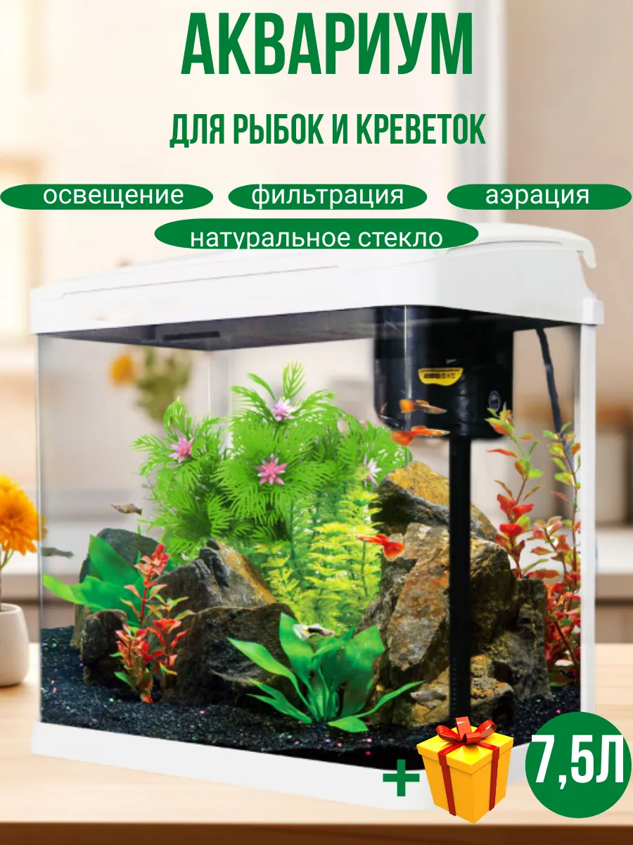 Аквариум для рыбок с подсветкой и фильтром