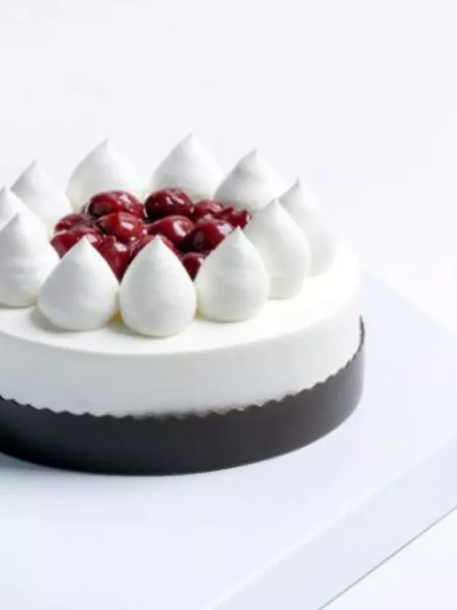 Puratos Растительные сливки Шантипак для взбивания крема, 1литр, вариант, фото 7