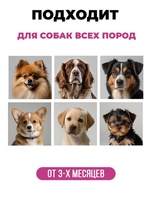 Spets Комплект Кондиционер для шерсти + Шампунь для собак, +, фото 4
