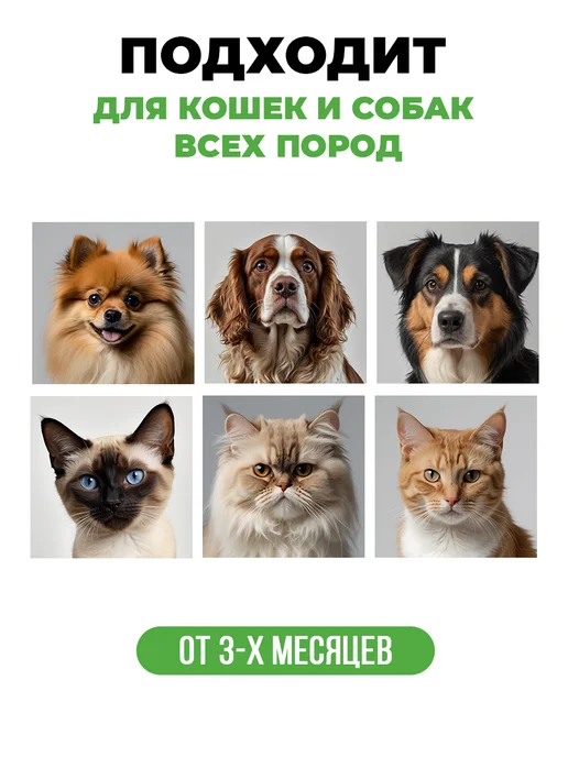 Spets Шампунь и кондиционер для собак и кошек, вариант, фото 3