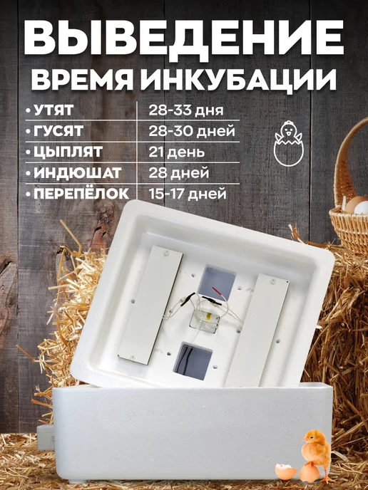 Несушка Инкубатор автоматический на 63 яиц, белый, фото 2