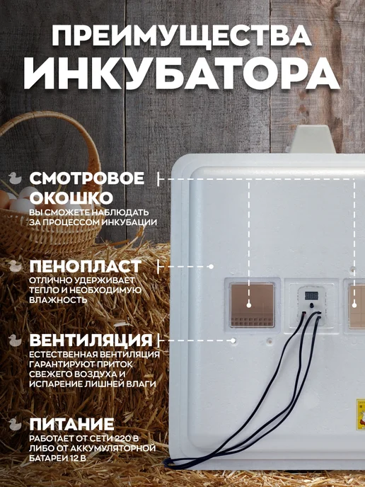 Несушка Инкубатор автоматический на 63 яиц, белый, фото 4
