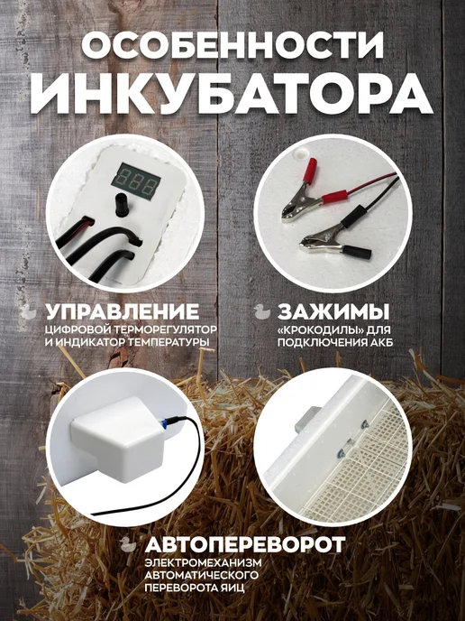 Несушка Инкубатор автоматический на 63 яиц, белый, фото 5