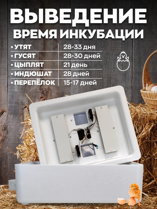 Несушка Инкубатор автоматический на 77 яиц, белый, фото 2