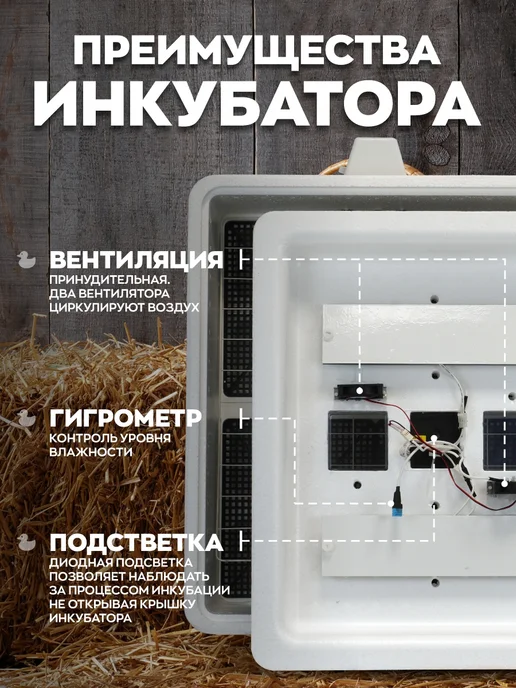 Несушка Инкубатор автоматический на 77 яиц, белый, фото 5