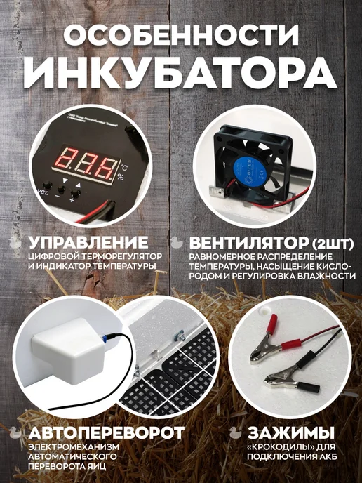 Несушка Инкубатор автоматический на 77 яиц, белый, фото 6