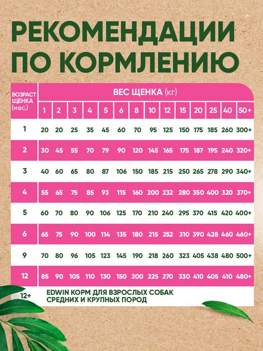 Сухой корм Edwin для собак, крупные, средние, щенки, индейка, 15 кг, фото 4