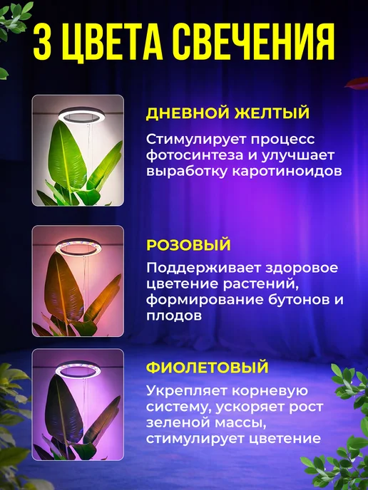 GREX Фитолампа для растений и рассады полного спектра, полный спектр кольцевая, фото 4