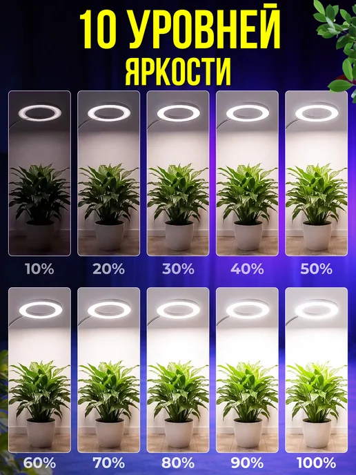 GREX Фитолампа для растений и рассады полного спектра, полный спектр кольцевая, фото 5