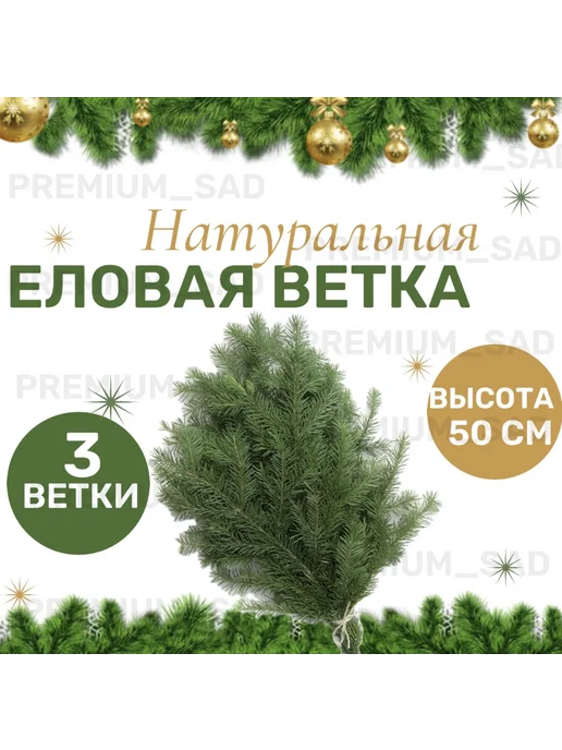 Живые еловые ветки натуральные 5 веток, 3