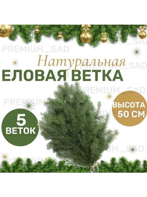 Живые еловые ветки натуральные 5 веток, 5 веток