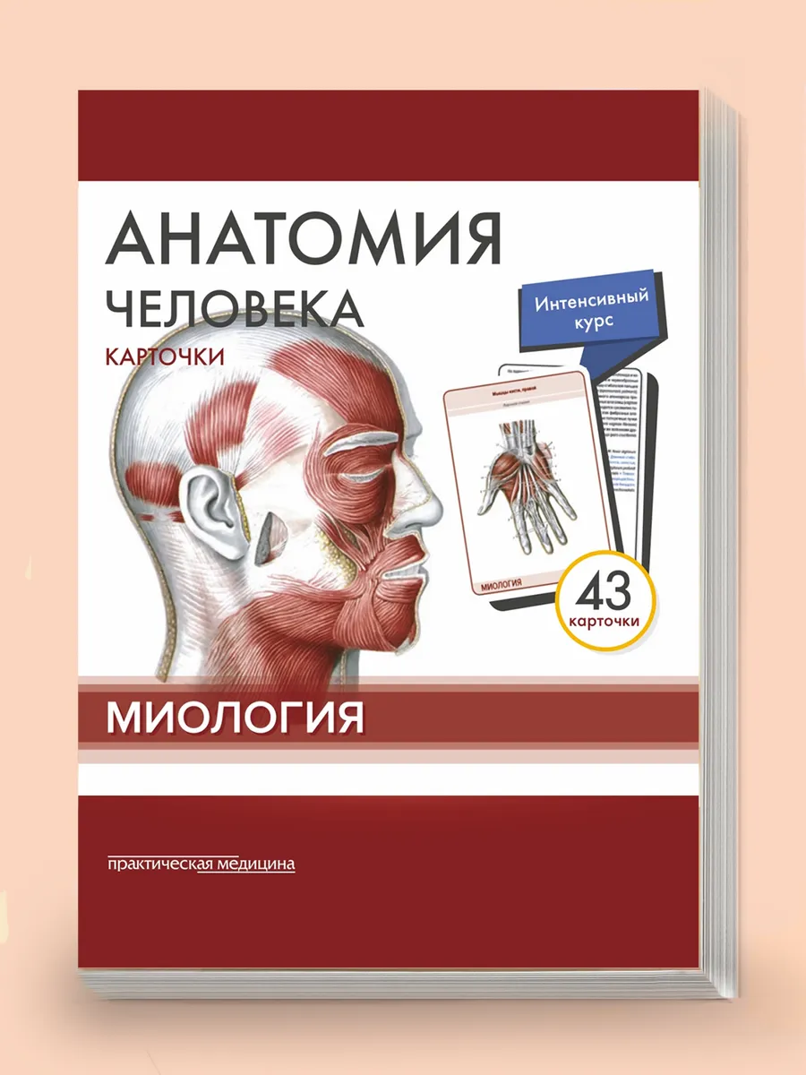 Карточки "Анатомия человека: Миология" 43 шт