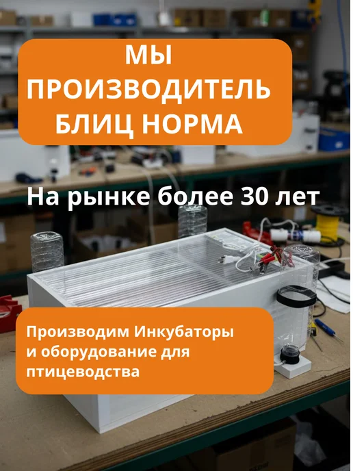 Производитель Блиц Норма Инкубатор для яиц Дели автоматический с терморегулятором, вариант, фото 2