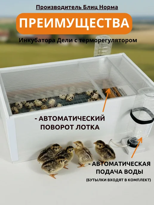 Производитель Блиц Норма Инкубатор для яиц Дели автоматический с терморегулятором, вариант, фото 3